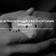 Illustration for article titled The $500 Van Presents: Rat Smuggling Tips (Alleged)